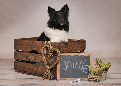 Jaimie1 400