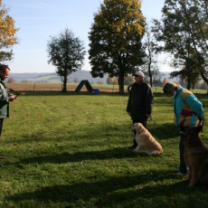 2008 10 18 Teamtest klein 0056