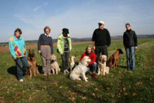 Teamtest 2008