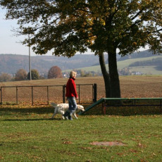 2008 10 18 Teamtest klein 0072