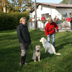 2008 10 18 Teamtest klein 0073