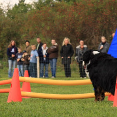 Gruppe2 21.09.2008 14 27 06