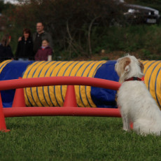 Gruppe2 21.09.2008 14 28 14