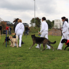 Gruppe4 Quadrille 21 09 08 002 21.09.2008 15 03 33