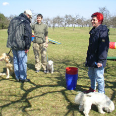 06 04 08 Sonnentraining0001 06 04 08 Sonnentraining0001