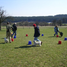 06 04 08 Sonnentraining0002 06 04 08 Sonnentraining0002