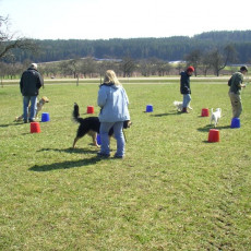 06 04 08 Sonnentraining0004 i 06 04 08 Sonnentraining0004 i