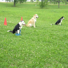 2006 Unser Training0001 i 2006 Unser Training0001 i