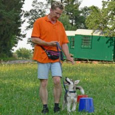 Jogis Huschu16 Jogis Huschu16