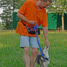 Jogis Huschu24 Jogis Huschu24