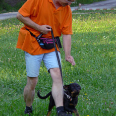 Jogis Huschu44 Jogis Huschu44