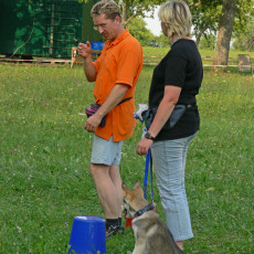 Jogis Huschu59 Jogis Huschu59