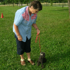 Uschi s Vormittagsgruppe0006 i Uschi s Vormittagsgruppe0006 i