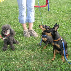 Uschi s Vormittagsgruppe0011 i Uschi s Vormittagsgruppe0011 i