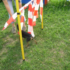 Uschi s Vormittagsgruppe0013 i Uschi s Vormittagsgruppe0013 i