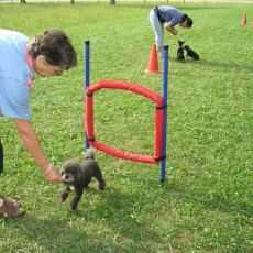 Uschi s Vormittagsgruppe0022 i Uschi s Vormittagsgruppe0022 i