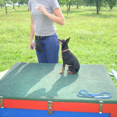 Uschi s Vormittagsgruppe0032 i Uschi s Vormittagsgruppe0032 i