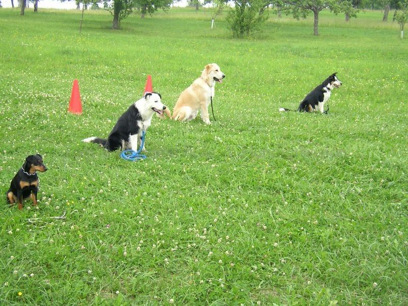 2006 Unser Training0001 i