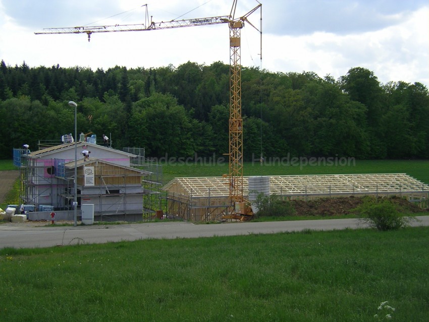 Halle gestellt0003