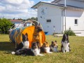 Jogis Hundeschule 061 Jogis Hundeschule 061